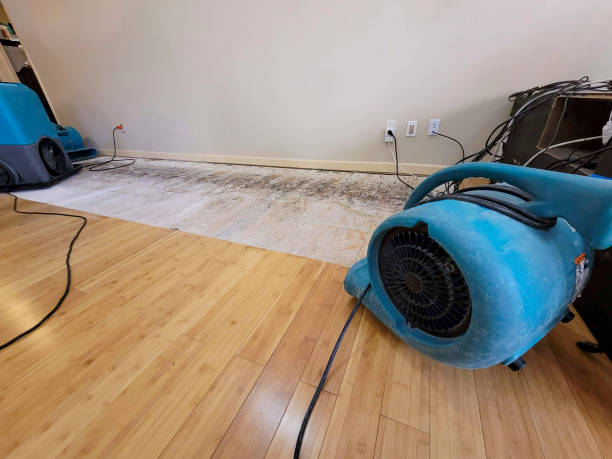 Professional Emergency Water Damage technician working in Essington, PA